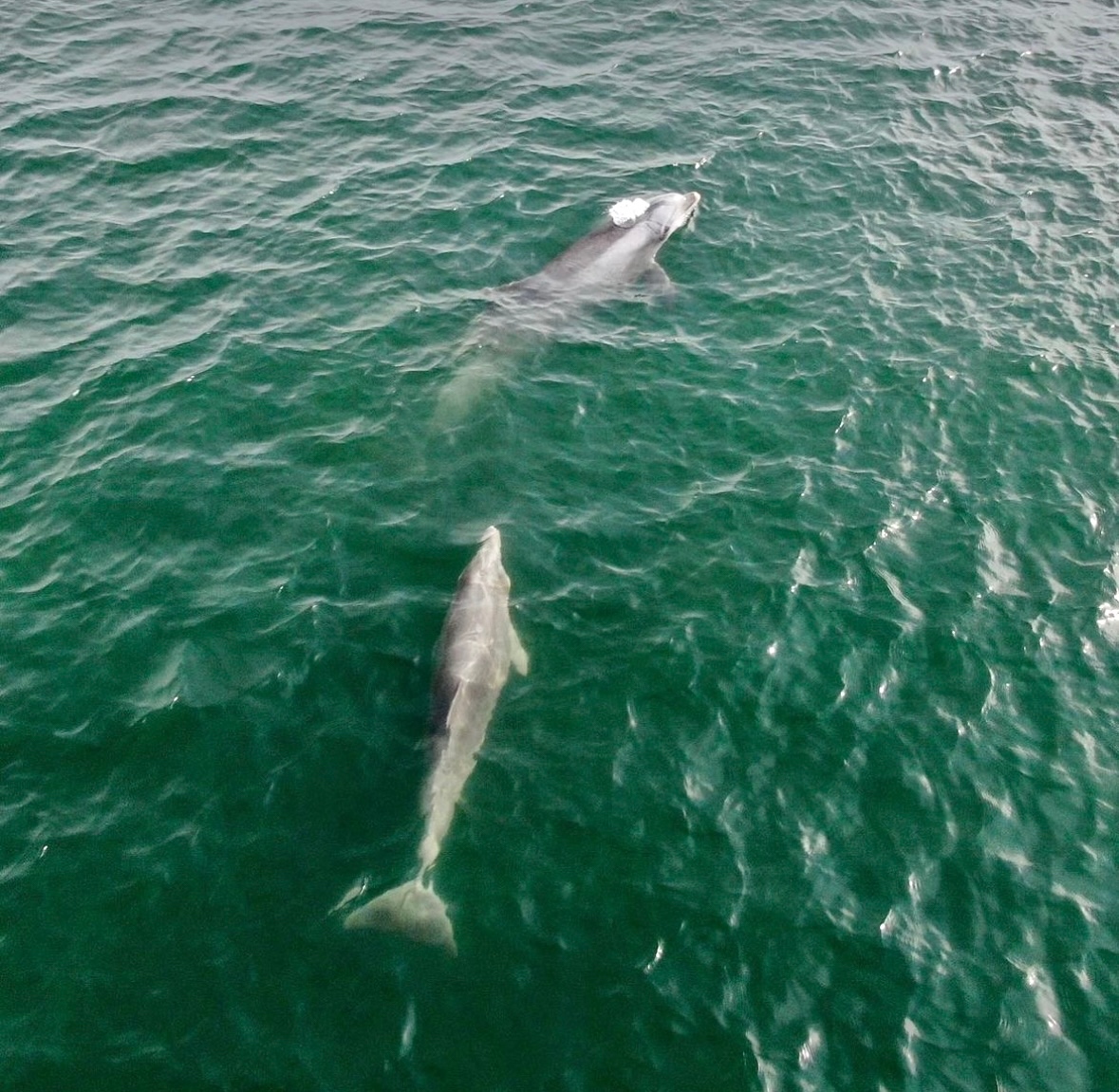 Discover Long Island tweet media