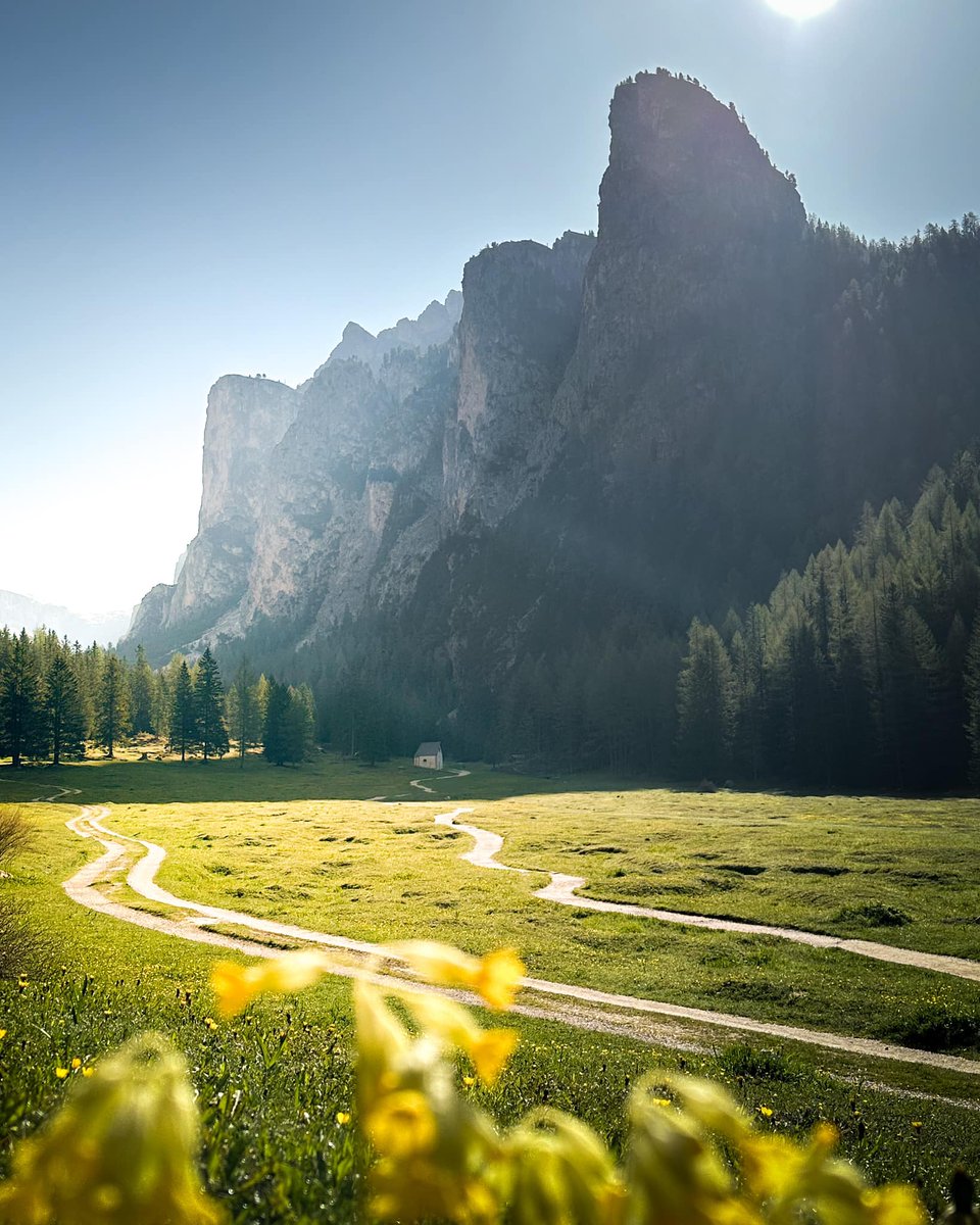 ☀ Summer is knocking on your door, inviting you to come outside and experience #SouthTyrol from one of its most beautiful sides. With our live pictures you can already do that, although it is even more impressive when you are here. 👉link.suedtirol.info/summer-southty… #suedtirol #altoadige