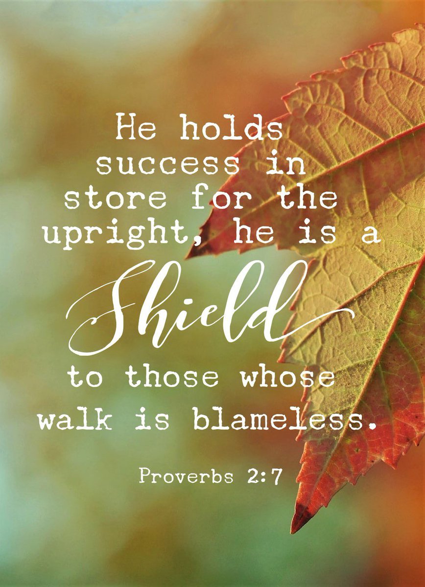 jeremysmarshall's tweet image. What’s success? The Bible tells us it’s not fame or money but knowing God and being loved by him. What matters is our character what the Bible calls “the heart”. If our heart is right with him then he will protect us. Make sure friend that your heart is right