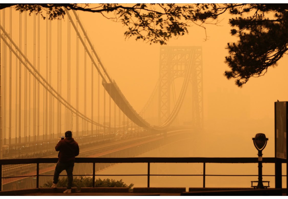 WitkowskiViktor's tweet photo. Which one do you prefer?
Orange skies in NYC or orange liquid thrown by environmental activists on protective glass?

#ClimateActionNow https://t.co/cGTCThqrkL