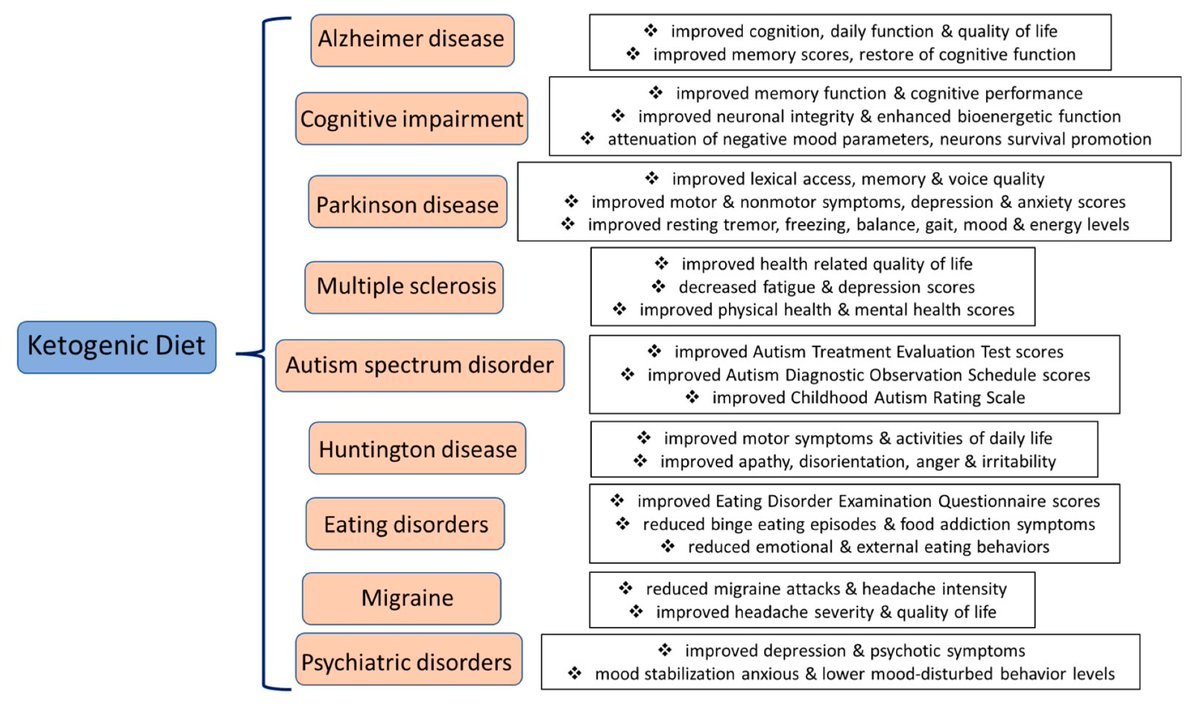 Dieta cetogénica y enfermedades neurodegenerativas 🥑🍳🧠

👉Potenciales beneficios de la dieta cetogénica en el tratamiento y manejo de enfermedades neurodegenerativas y psiquiátricas