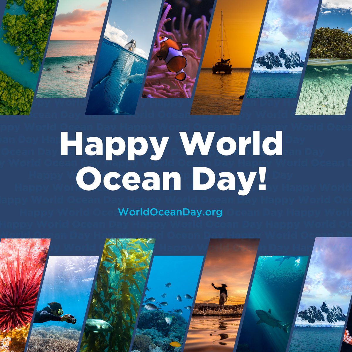World Ocean Day tweet media