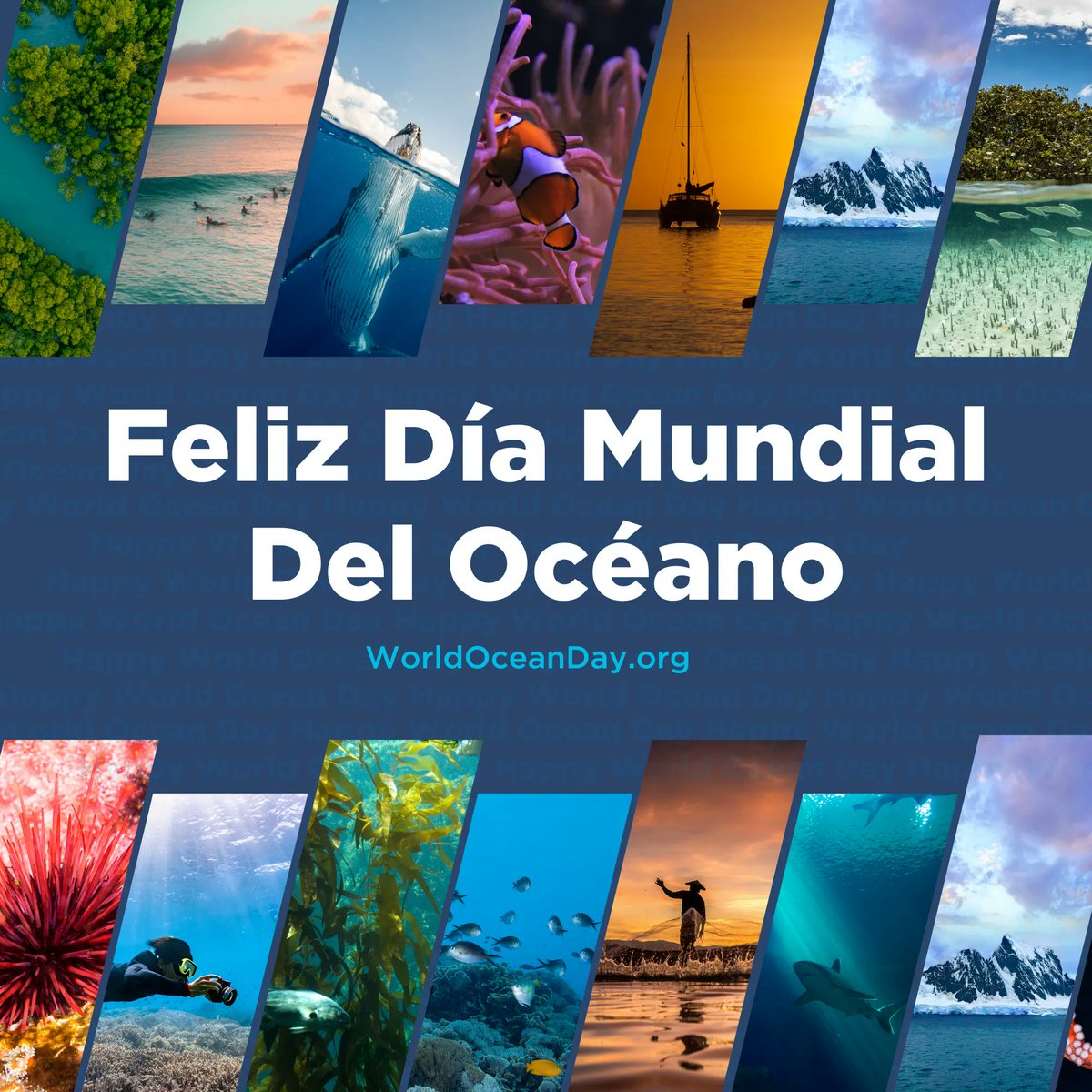 World Ocean Day tweet media