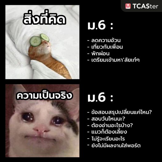 OnDemandKorat's tweet photo. ชีวิต เด็กม.6 มันช่างโหดร้ายเหลือเกิน...📷
--------------------------------------
#ออนดีมานด์บ้านโคราช #ondemand #TCAS #TCAS67 #TPAT #TGAT #กวดวิชา #เรียนพิเศษ https://t.co/wHvCu5wV26