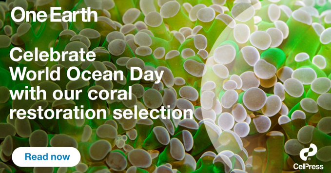 3 Perspectives on #CoralRestoration 

Principles for coral reef restoration <a href="/ProfTerryHughes/">Terry Hughes</a> et al
An integrative framework for sustainable coral reef restoration <a href="/DavidJSuggett/">David J Suggett</a> et al
Nanobiotech engineering for future coral reefs <a href="/ocean_keshi/">🌍</a> et al

bit.ly/3NgOLCi