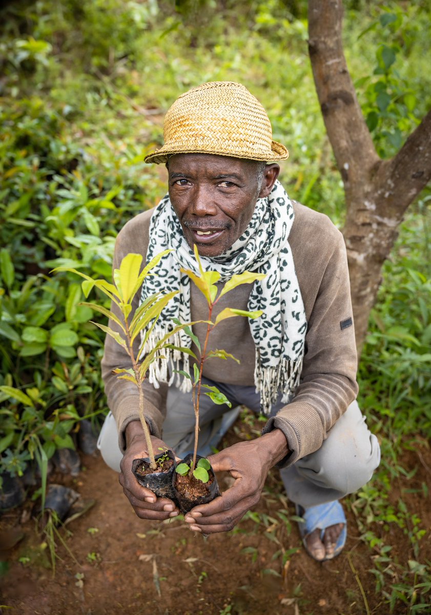 Feedback Madagascar tweet media