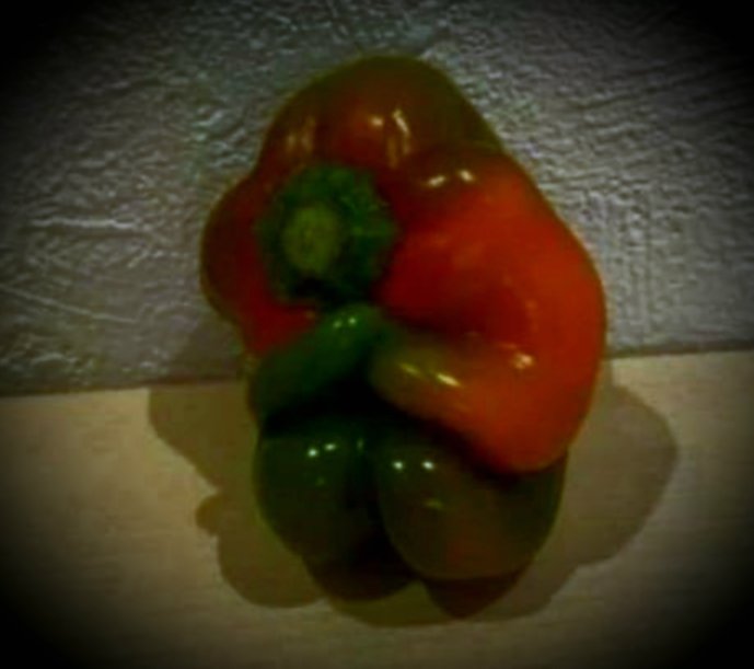 iammachine333's tweet image. "Found this at Walmart, took it home and gave it a big hug for good faith."
🤣 poor little fella!