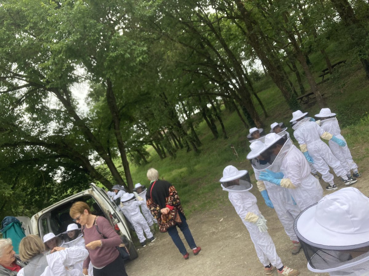 abeillesaramon's tweet photo. Le saviez-vous ?
Lundi 19 juin nous aurons la chance d’accueillir l’école de Maurens (Gers) pour une visite des ruches !

Quel bonheur de pouvoir partager notre passion avec les enfants 🤩 https://t.co/5JmvVFFbqe