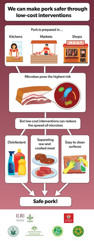 ILRI's tweet photo. ‘After intervention, the prevalence of Salmonella in retailed pork decreased from 52% to 24%,’ said Fred Unger, ILRI regional representative for E/SE Asia.
The #SafePORK team shared the key findings of the project this year - read them here! https://t.co/vriFnAZoqM #foodsafety