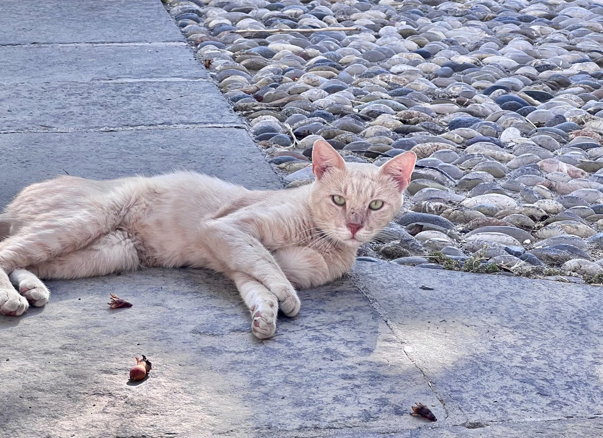 Amit Yadav tweet media