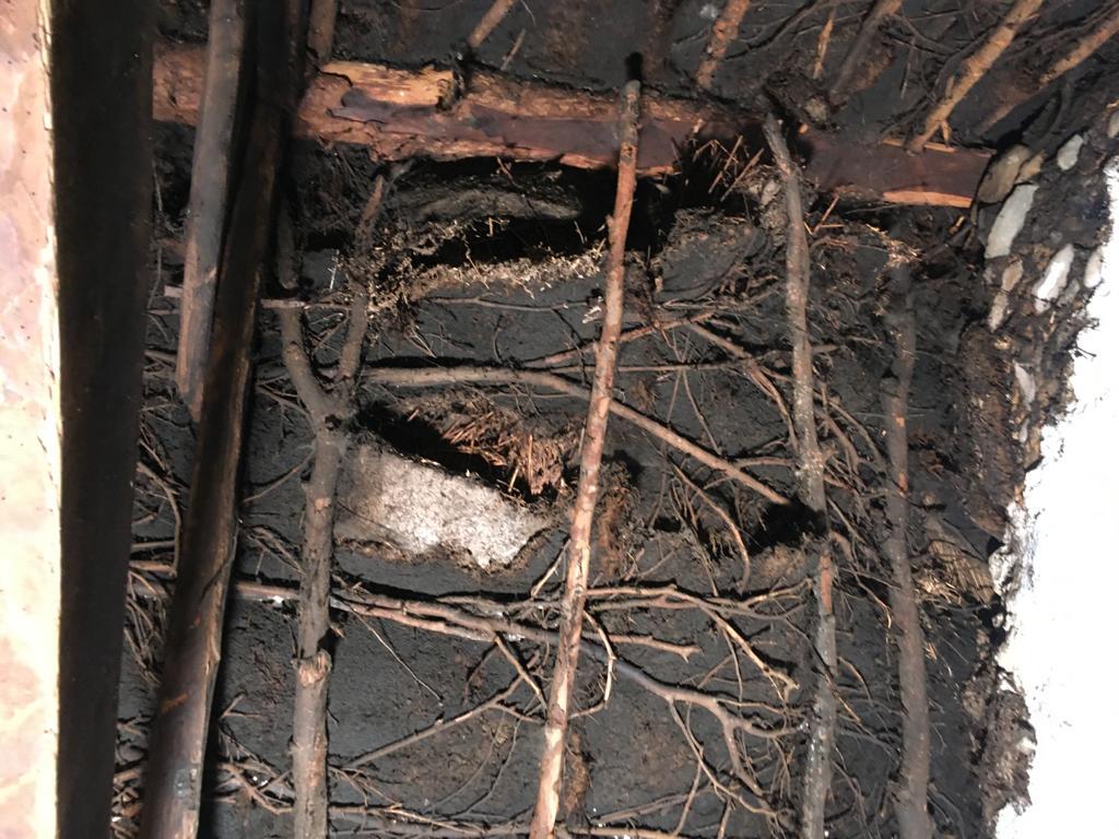 thatchertaggart's tweet image. @CommunitiesNI #HEDNI / #EHSNI sent this reply in 2005 regarding the loss of #Scraw underlay found below traditional Irish #Thatched roofs. Over 8% loss of this unique Irish #thatching technique &amp;amp; their clear decision not to replace like for like but they're not incompetent #121