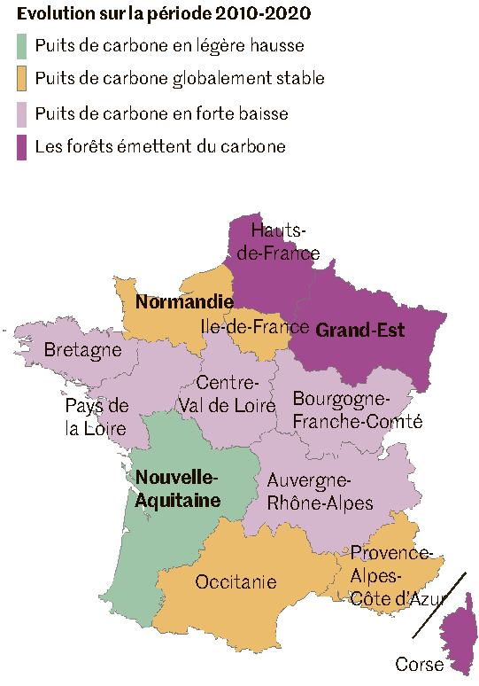 Un rapport très intéressant de l'@AcadSciences vient de sortir, sur la forêt française face au changement climatique. 🌲🌳 Mauvaise nouvelle : dans le Grand-Est, les forêts sont désormais des sources de carbone et plus des puits qui le stockent ! Comment est-ce possible ? 1/n