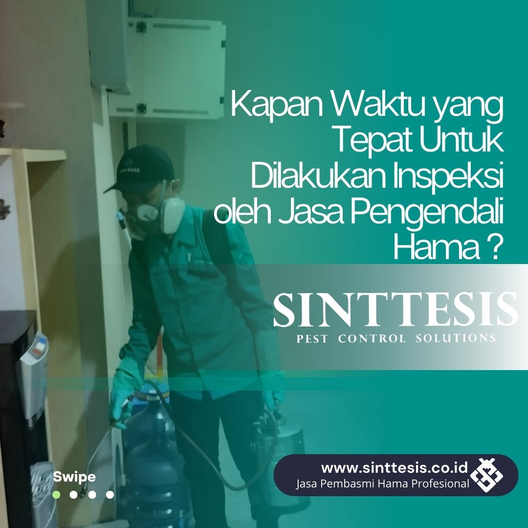 Sinttesis_'s tweet photo. Ada beberapa hal yang perlu diperhatikan agar keputusan Anda memanggil jasa pengendalian hama terbilang lebih efektif dan tepat.
#sinttesis #pestcontrol #seranggaterbang #antirayap #industri #antihama #pabrik #laron #perumahan #hotelbogor #hoteltangerang #fumigasi #fogging https://t.co/zWdqSW9eJr