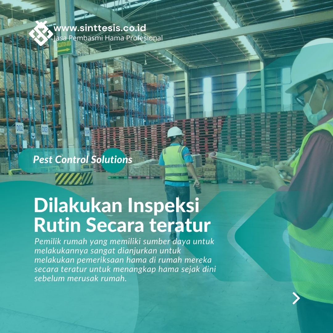 Sinttesis_'s tweet photo. Ada beberapa hal yang perlu diperhatikan agar keputusan Anda memanggil jasa pengendalian hama terbilang lebih efektif dan tepat.
#sinttesis #pestcontrol #seranggaterbang #antirayap #industri #antihama #pabrik #laron #perumahan #hotelbogor #hoteltangerang #fumigasi #fogging https://t.co/zWdqSW9eJr