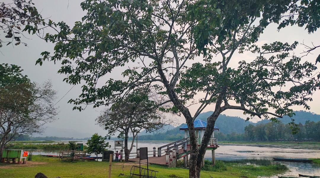 okaysayaa's tweet photo. nature for you, therapeutic for me. https://t.co/ZaS9vS3mSY