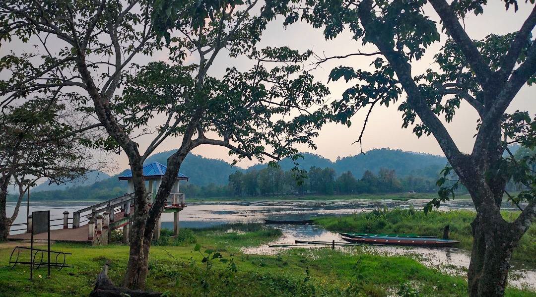 okaysayaa's tweet photo. nature for you, therapeutic for me. https://t.co/ZaS9vS3mSY