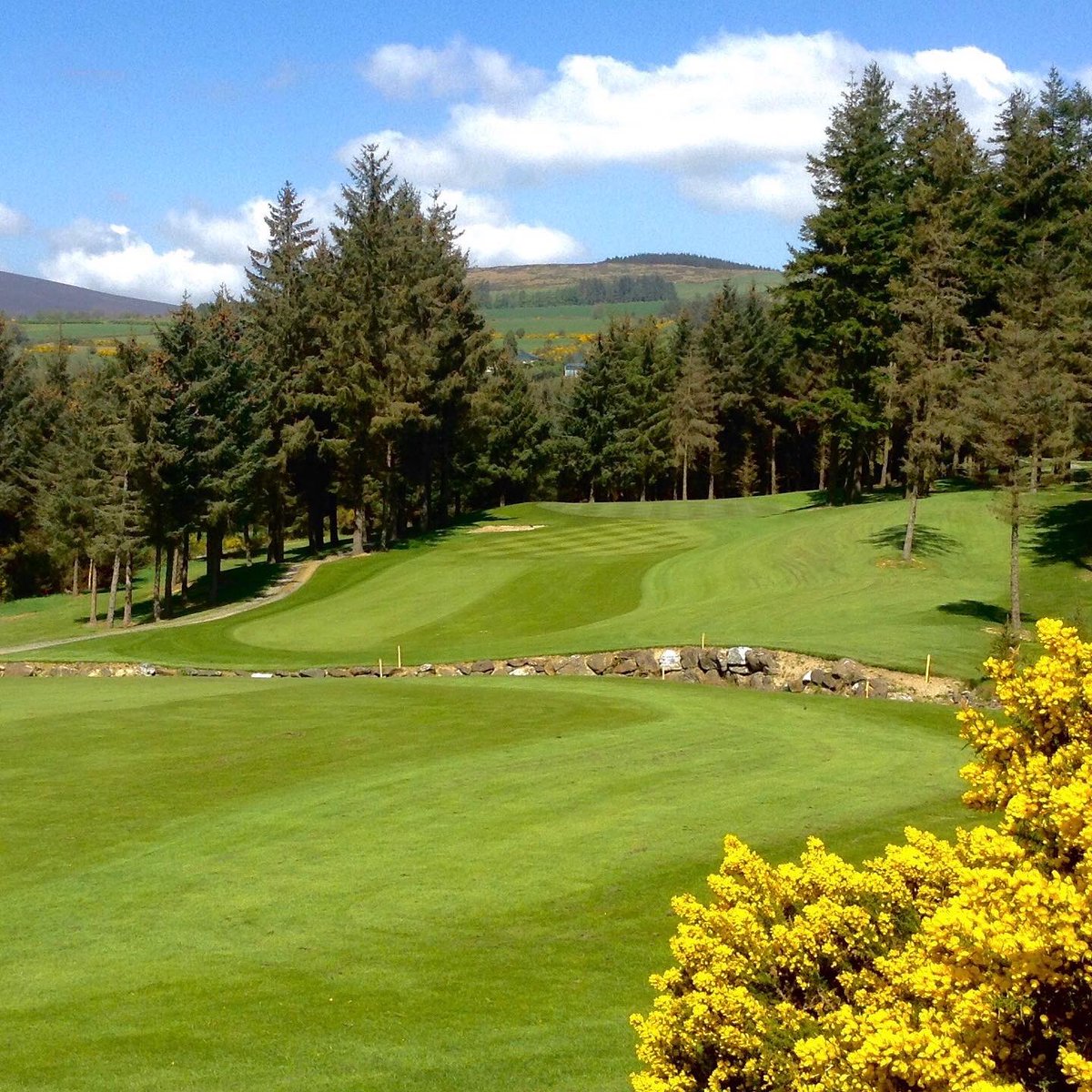 Macreddingolf's tweet photo. Father/Mother &amp; Son/Daughter 
2 Person Team - Sunday 18th June 

A fun event for all the family to enjoy on Father’s Day. 👨‍👩‍👧‍👦

Super prizes on offer plus a special prize for the best dressed team on the day. 👚👕

Timesheet now open: https://t.co/7ZQHXjpiEG https://t.co/wE2ai97pa3