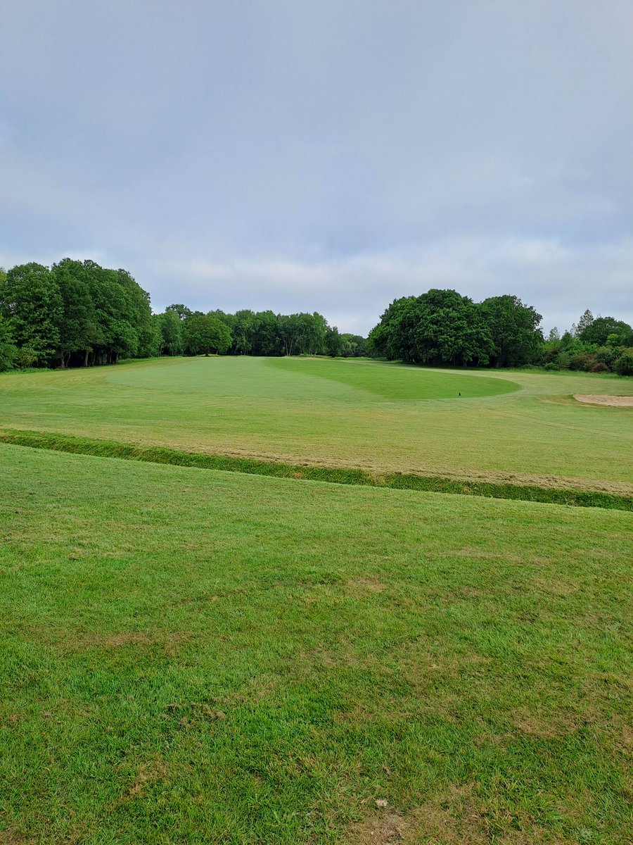Strimming today.  A small win but you know your getting on top of things when you have time to focus on more detail.  Oh and by the way, can we have some rain please
