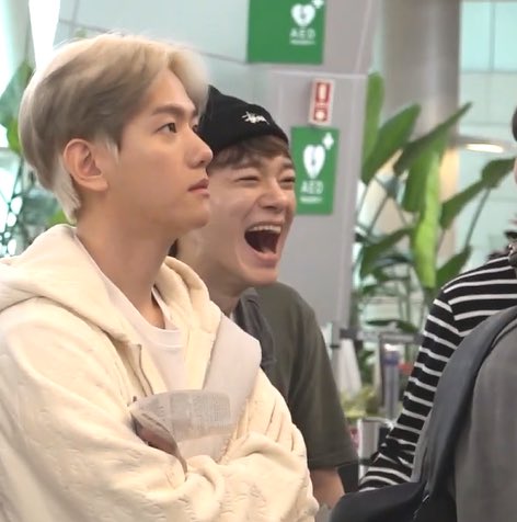 baekchen archive tweet media