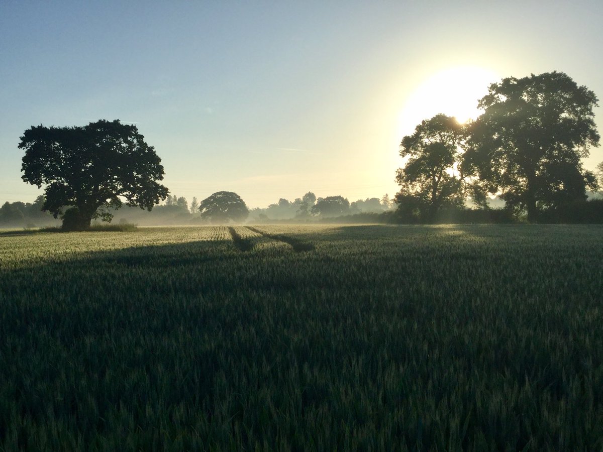 Sunrise….🌞 #Shropshire