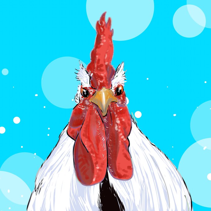 「動物 鶏」のTwitter画像/イラスト(新着)｜5ページ目