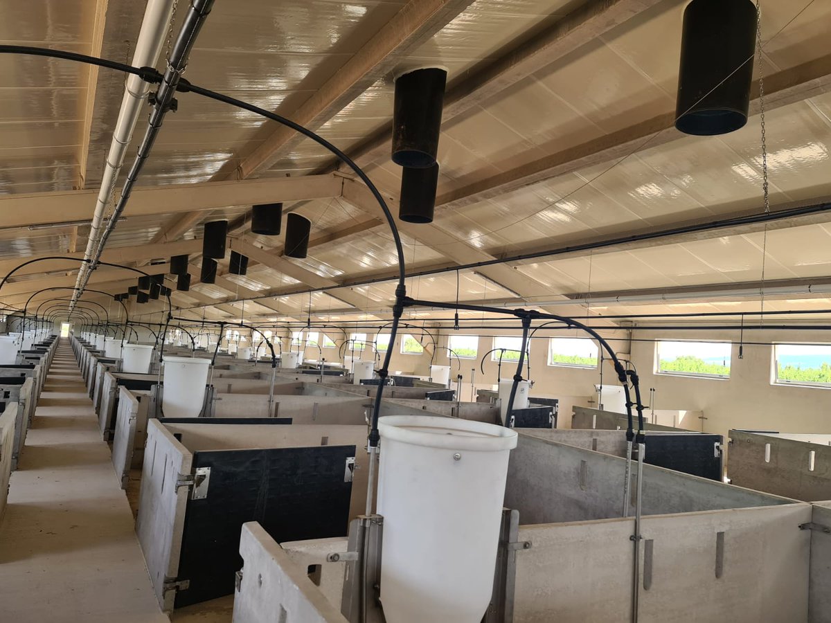 Macoga's tweet image. ✅✅ Avanzan las obras de construcción de la nueva granja porcina en La Rioja.
Adaptados los corrales a los cambios de la nueva normativa de bienestar animal 👌🏼
Complemento ganaderos en macoga.es 🐖
#ferber #macoga #ferbercons #porcino #porcicultura #construccion