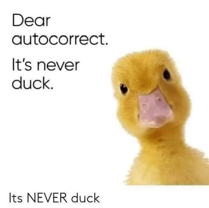 #AfterARoughDay it's never 'duck' 😍 @tripletsfan19 @gigirules7 @jimmyfallon @Laughbook @onecowgirl23 @HeatherJHale @Imported_Fun @1funnymike @PlanetSharkFit @CindyAshton @MarktheSpaman @norah_s @FitPatricia @sxdoc 🤗 #ThursdayThought 😍