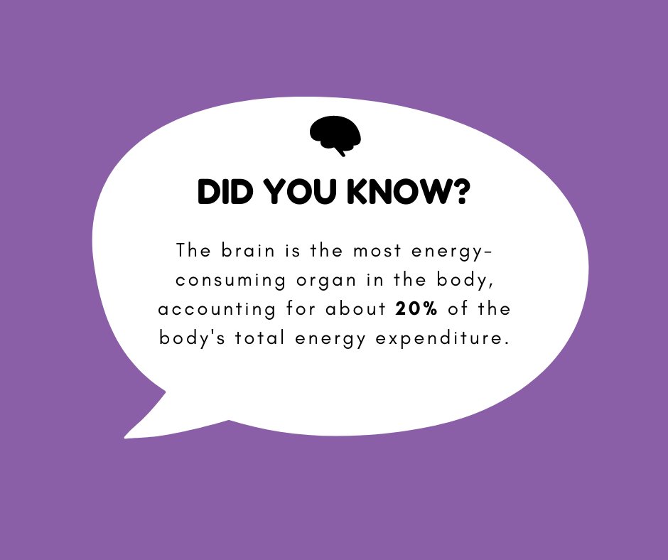 coachcognitive's tweet photo. Did you know which is the most energy consuming 💪🏼 organ of human body?🤔 Find out here! 🙋🏻‍♂
#BrighterMinds #Brainfacts #Brain #Brainexercises #Cognitivetraining #CognitiveSkills #Concentration #Cognitivedevelopment #neuroplasticit #Memoryimprovement https://t.co/uZQKPTI3Lt