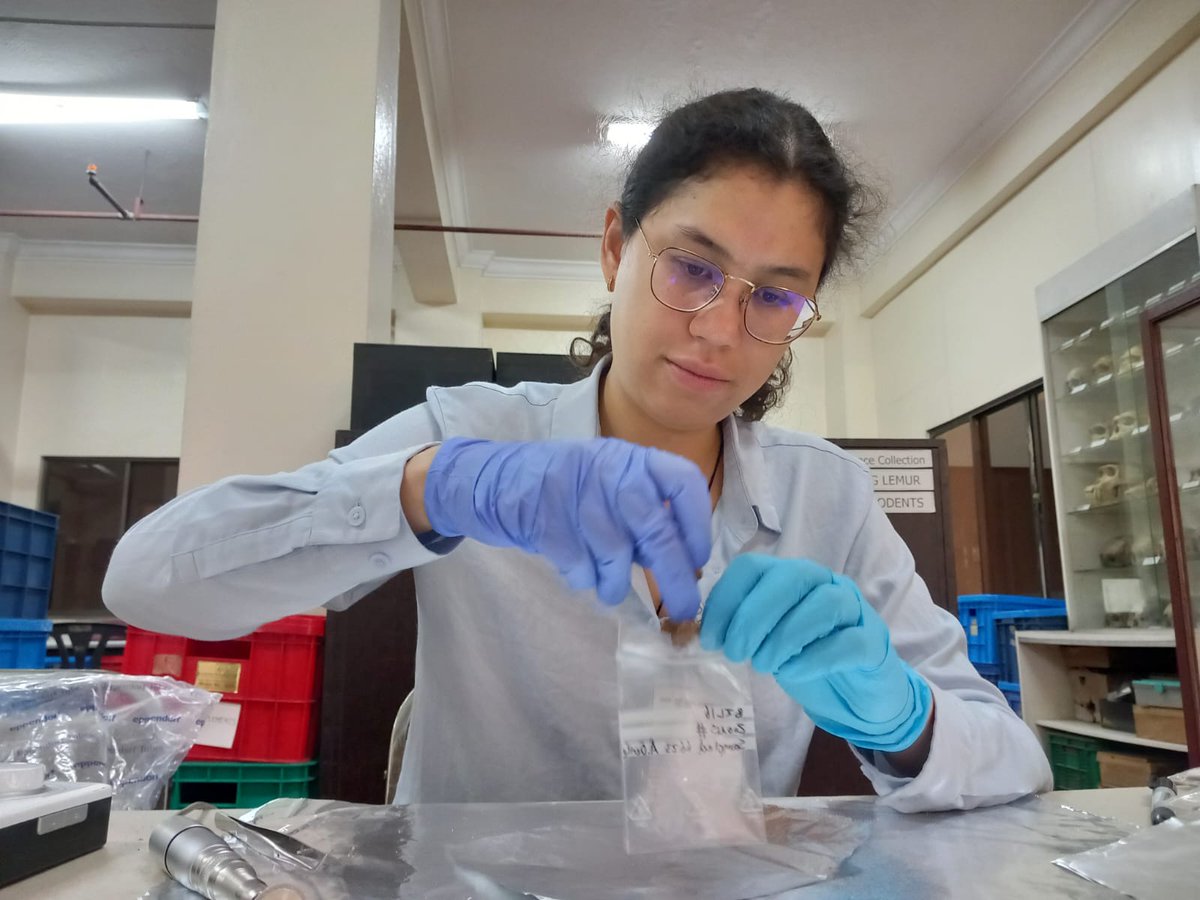 Netty's tweet image. Latest sampling trip! This time @natmuseumph in Manila. Thanks so much having me. @HeasVienna @Mjstoroz #DENICESTOR #FINDER_Project #bones