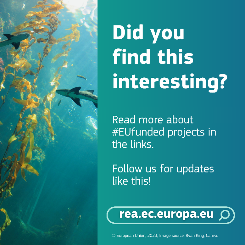 REA_research's tweet photo. It’s #WorldOceanDay! 🌅
Learn how #EUfunding safeguards oceans and waters for future generations.
🧊 @Arice_Eu
🐟 @InNo_Plastic
🌊 #MOVEMED
More on: https://t.co/MgsGm38dxC