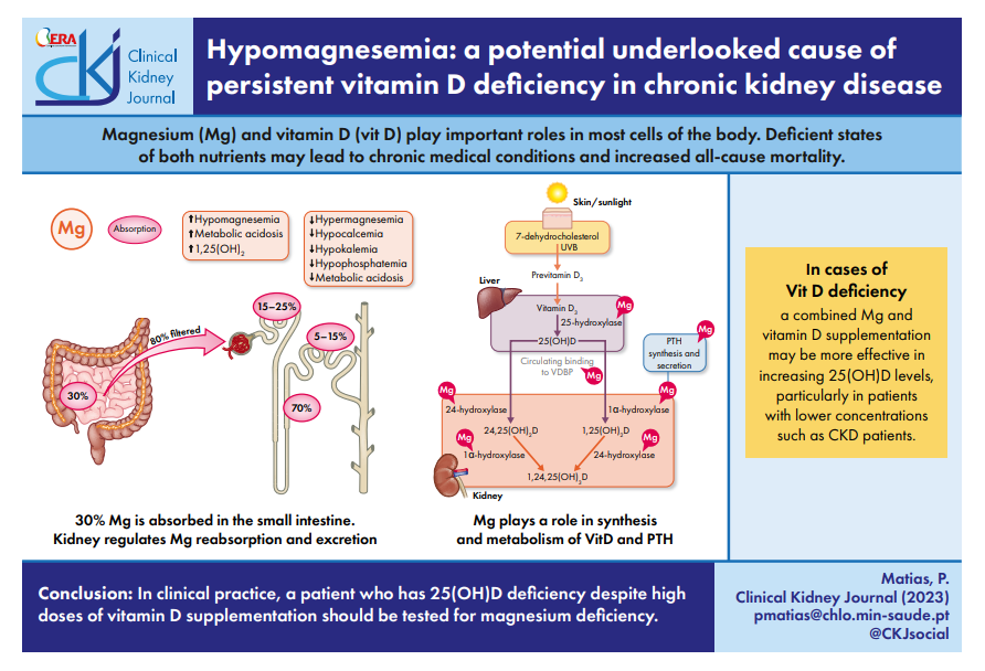 CKJsocial's tweet image. Hypomagnesemia: a potential underlooked cause of persistent vitamin D deficiency in CKD
doi.org/10.1093/ckj/sf…
👉It is essential to ensure adequate levels of magnesium to obtain the optimal benefits of vitamin D supplementation in CKD patients