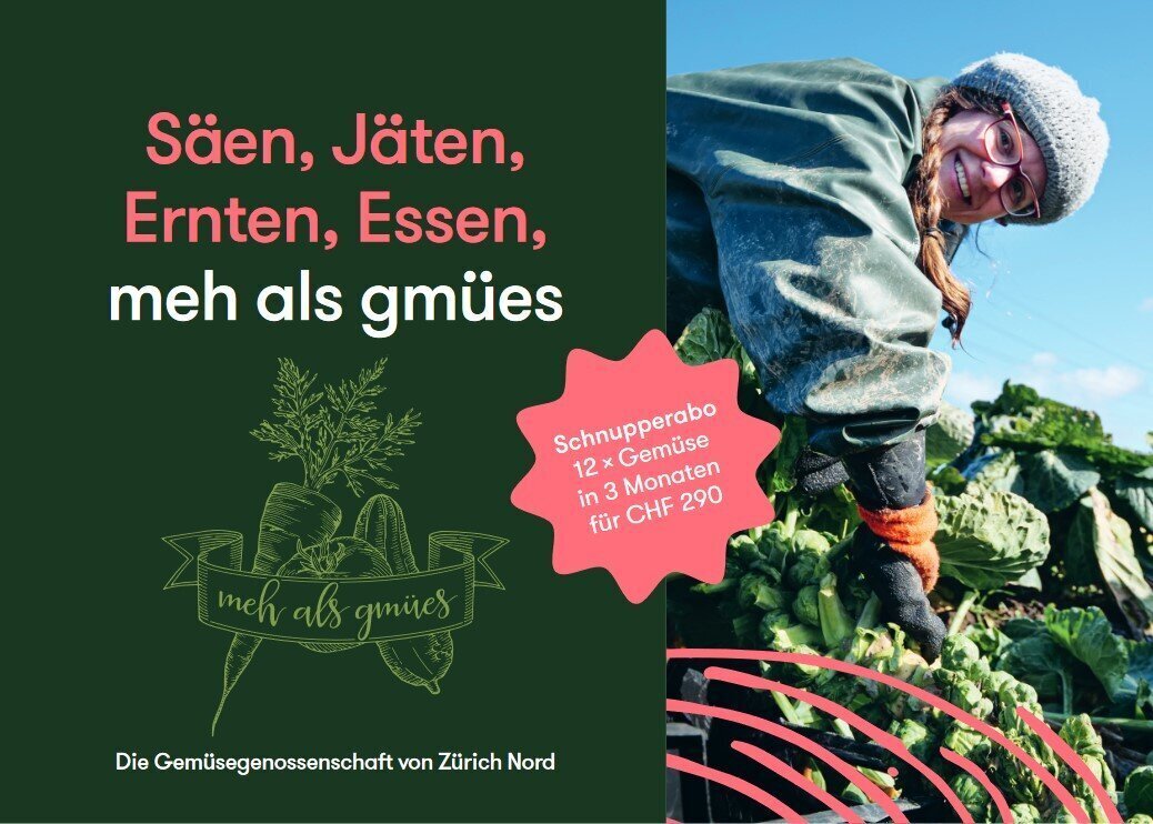 SoLaWi in Zürich tweet media