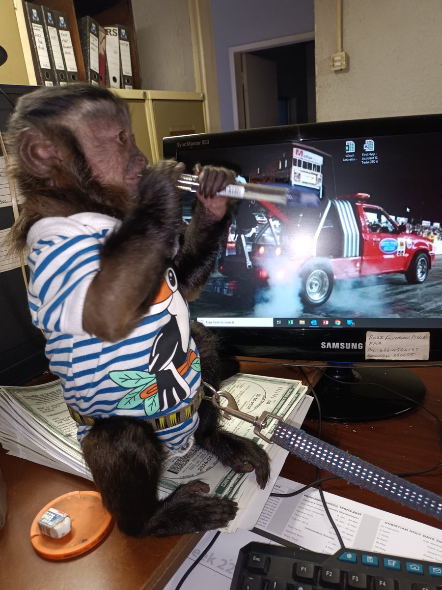 Had a naughty but delightful visitor this morning. Put a smile on the dial for the day.