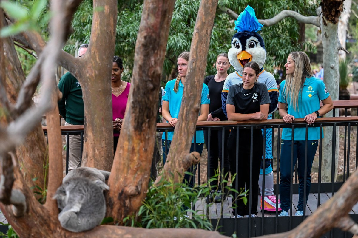 Present at the historic Taronga Zoo was NSW Premier Chris Minns, Minister of Sport Steve Kamper, FIFA WWC CEO Jane Fernandez, FA's Head of Women's Football Sarah Walsh, former USWNT goalkeeper and 1999 FIFA WWC winner Briana Scurry and a host of current and future Matildas.