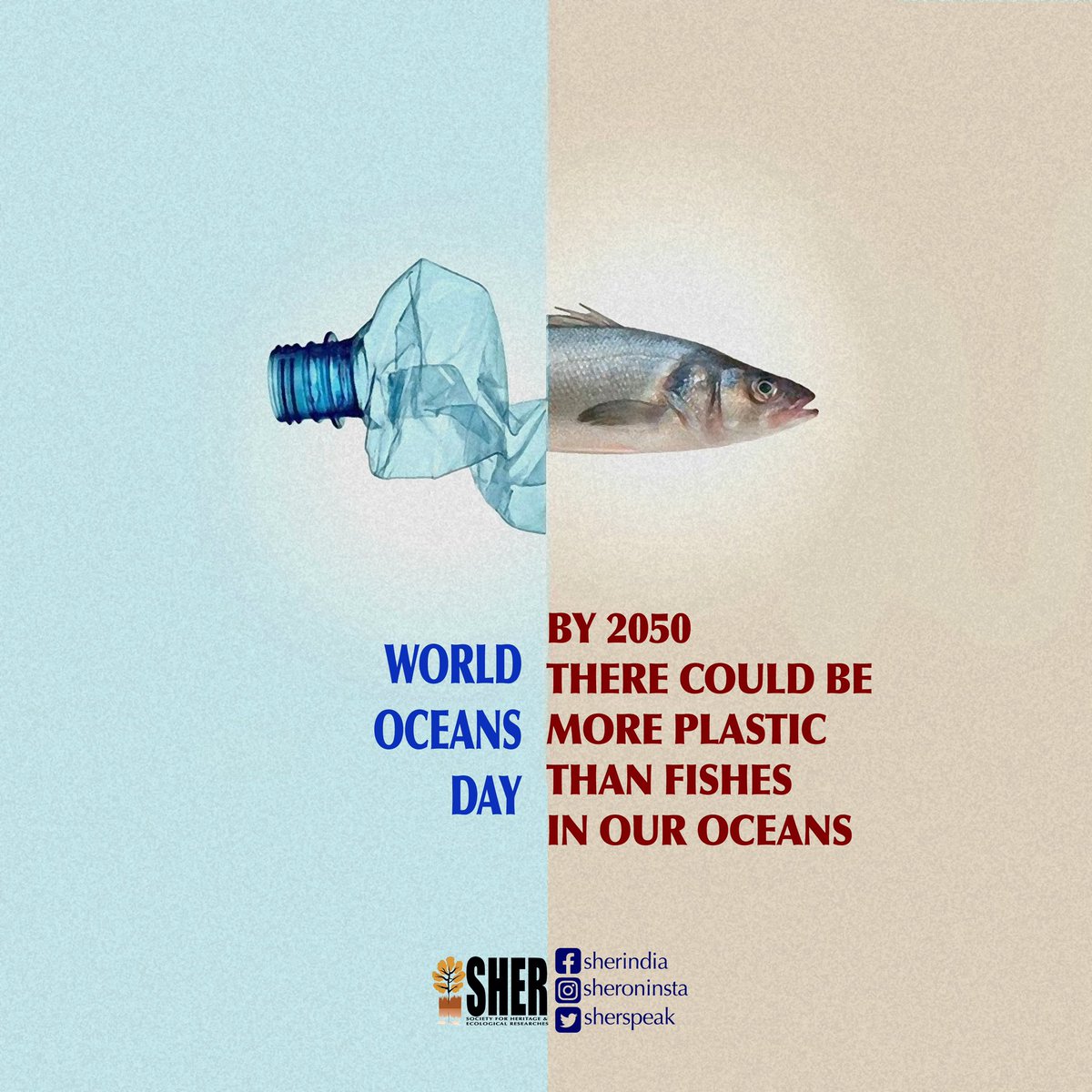 #WorldOceansDay #saveourplanet #noplanetb #savethebiodiversity #saveoceans #saveoceanlife #saveocean #conservationmatters #saynotosingleuseplastic