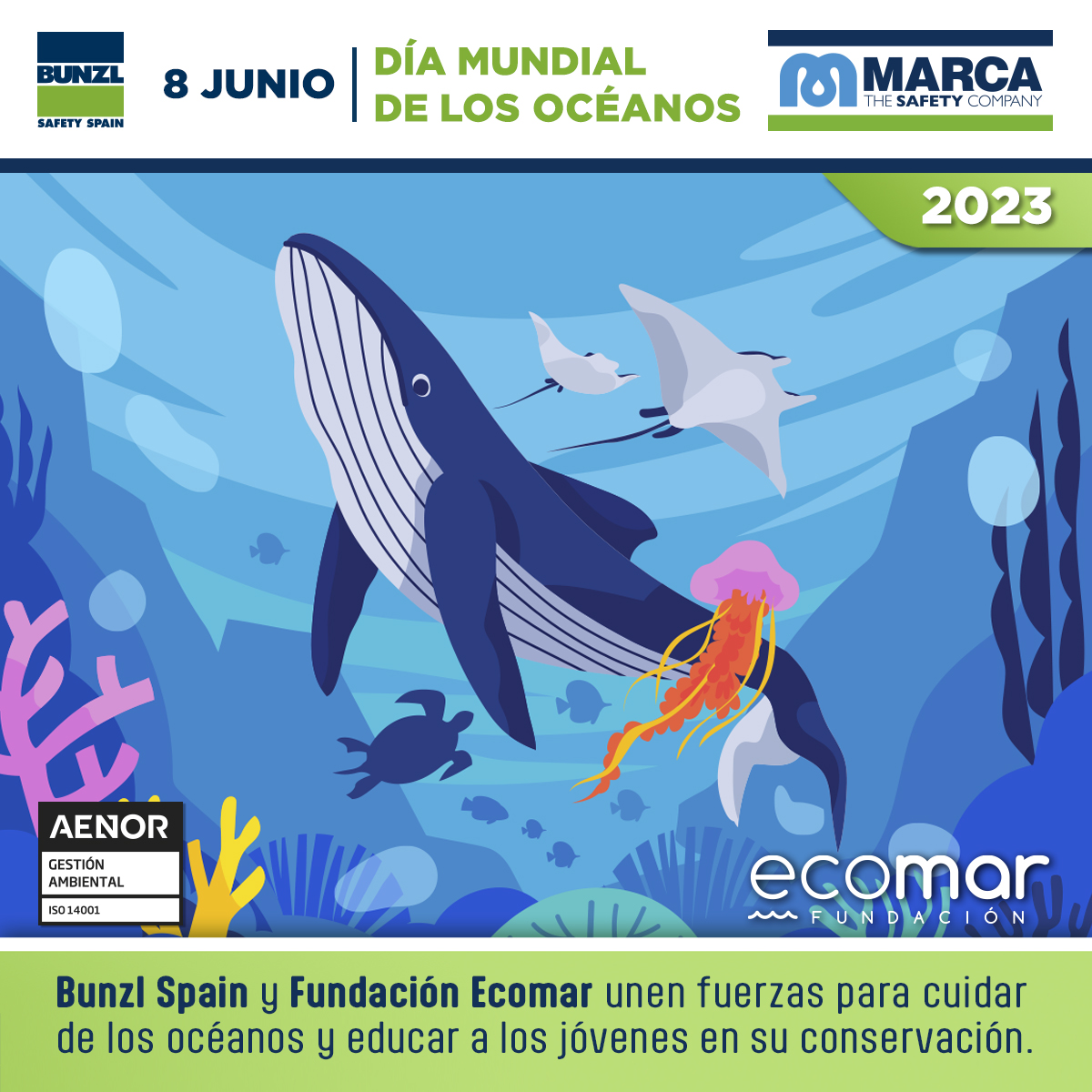 Marca_PL's tweet photo. 🌎Hoy se celebra el #DíaMundialdelosOcéanos 🌊
 En #MarcaPL estamos comprometidos con la #sostenibilidadDelPlaneta, y por ello, colaboramos con Theresa Zabell de Fundación Ecomar. Fans del Mar realizando  la limpieza de playas de nuestro litoral.
 
 📌 https://t.co/26XatKlj4l https://t.co/dktGfbK6Ht