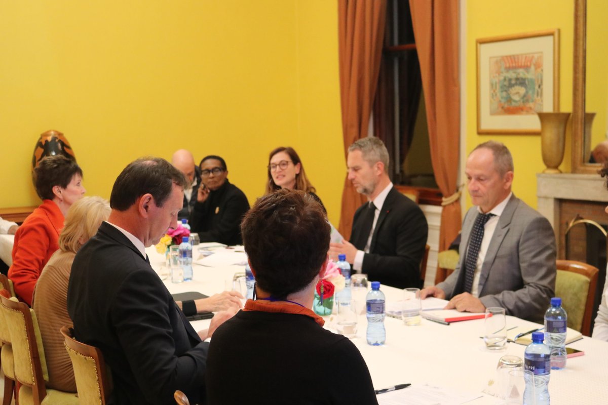 FrenchEmbassyZA's tweet photo. The Friends of the French Institute and Ambassador designate David Martinon held a meeting to discuss past projects, upcoming events and what the French culture programme in South Africa holds for the rest of 2023 🇿🇦🤝🇫🇷

@if_southafrica https://t.co/qtWZDJepCL
