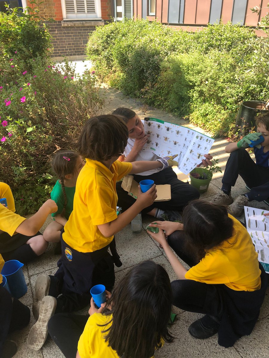 Sunnyhill Primary tweet media