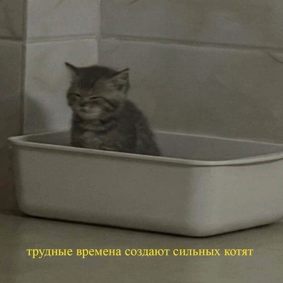 darrris's tweet photo. сегодня впервые в жизни мне делали гастроскопию и колоноскопию
и подготовка и сами процедуры это сплошное терпение https://t.co/RkLdzKkEyn