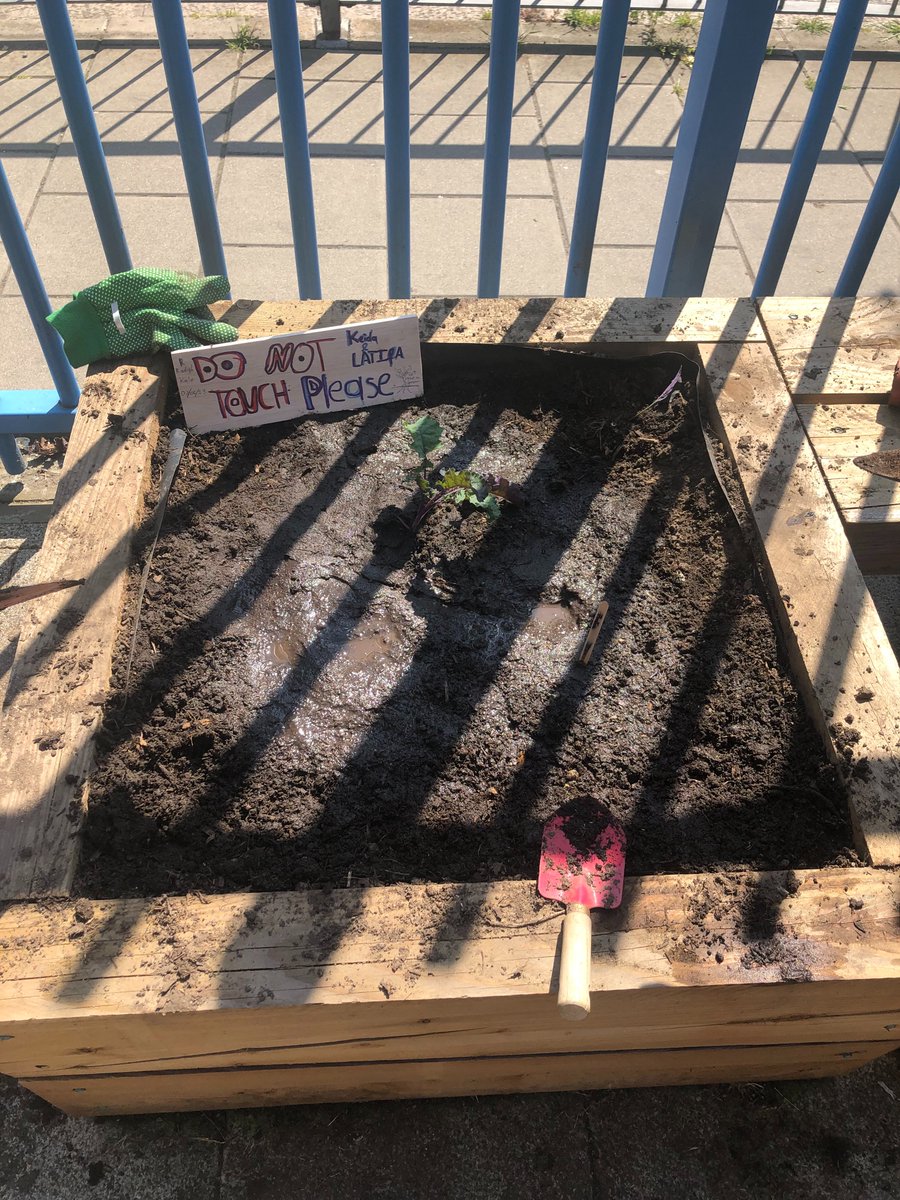 Thank you to <a href="/sfmtweet/">School Food Matters</a> for yesterday's fantastic gardening workshop.  The children had a great time planting the vegetables and learning about biodiversity in our school grounds #learningtogether #biodiversity #gardening <a href="/Psqm_HQ/">Primary Science Quality Mark</a>