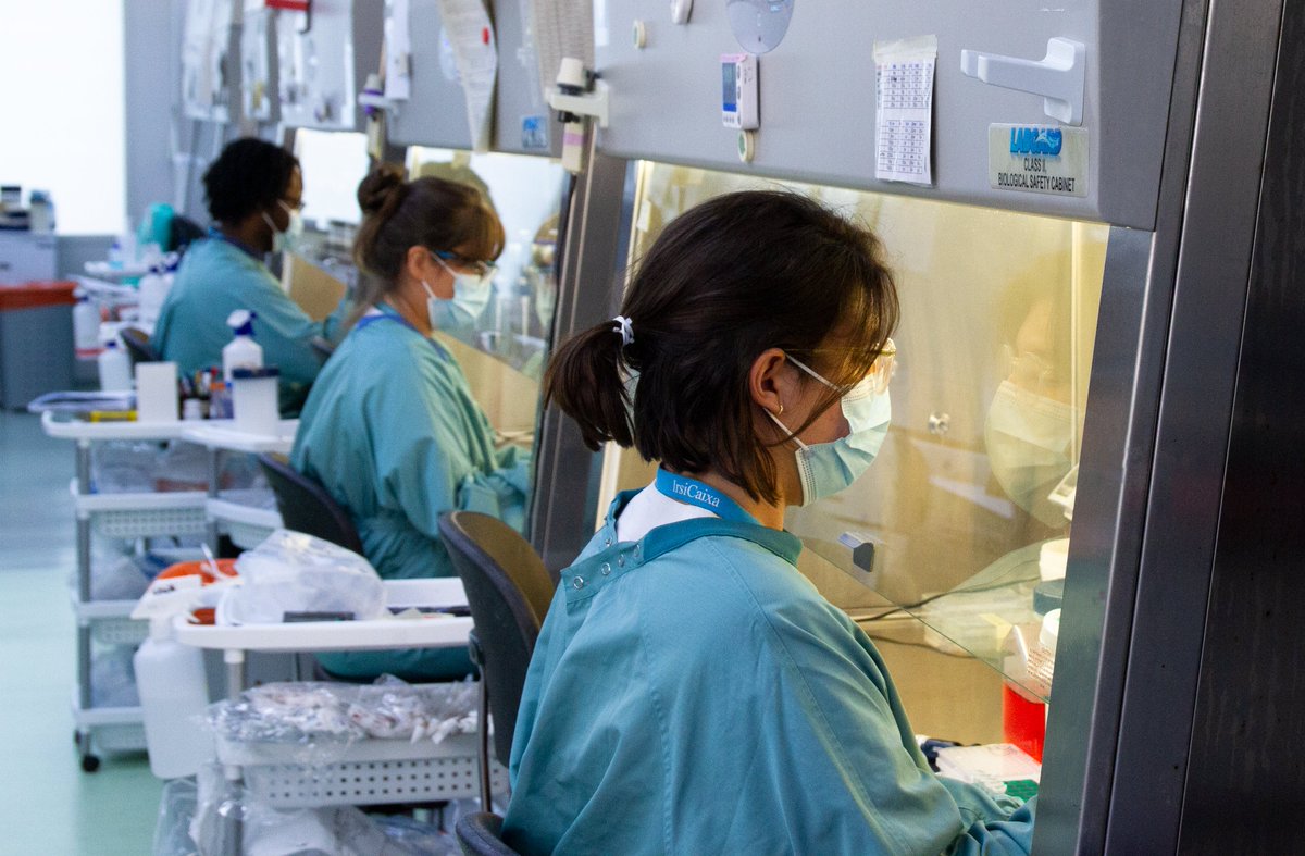 IrsiCaixa's tweet photo. 🧠 Els #bacteris del nostre intestí estan relacionats amb la #salutmental a través de factors com el seu rol antiinflamatori i els milions de compostos neuroactius que produeixen.
🦠 Avui, al #bcnmicrobiome parlem sobre l'actualitat del #microbioma.
👉🏽 https://t.co/KwiN04ugPe https://t.co/JPZxJs9dNx