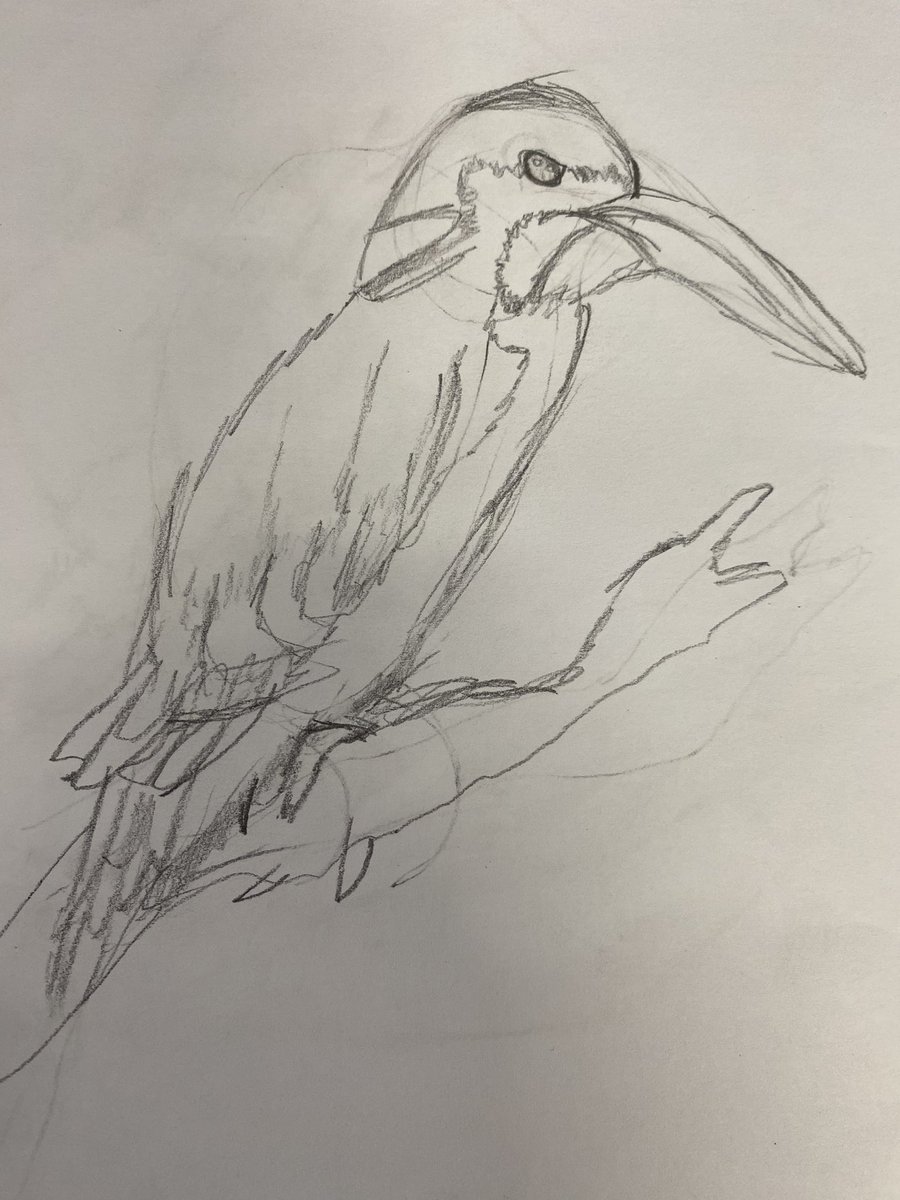 Attempt no. 1 of sketching kingfishers yesterday- pretty good! Can’t wait to see how these develop following feedback! @greenfieldsps #thelostwords