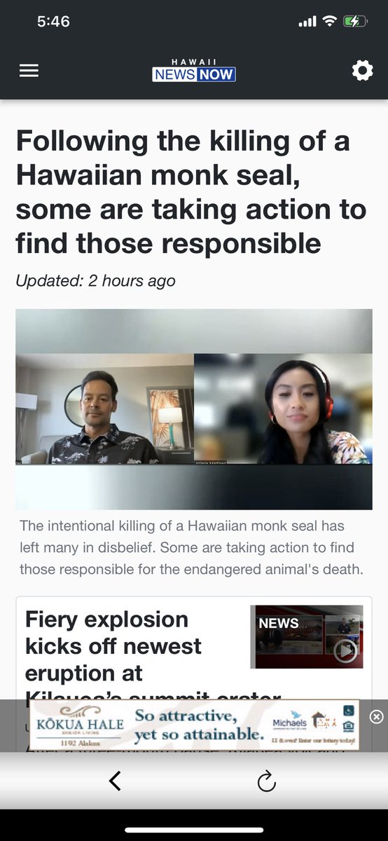 MAEAgency's tweet photo. Mahalo to Hawaii News for interviewing me #Mālama #NOAA #HawaiiNews #HawaiianMonkSeals Let’s find Mālama’s killer https://t.co/quFNA2kAUE