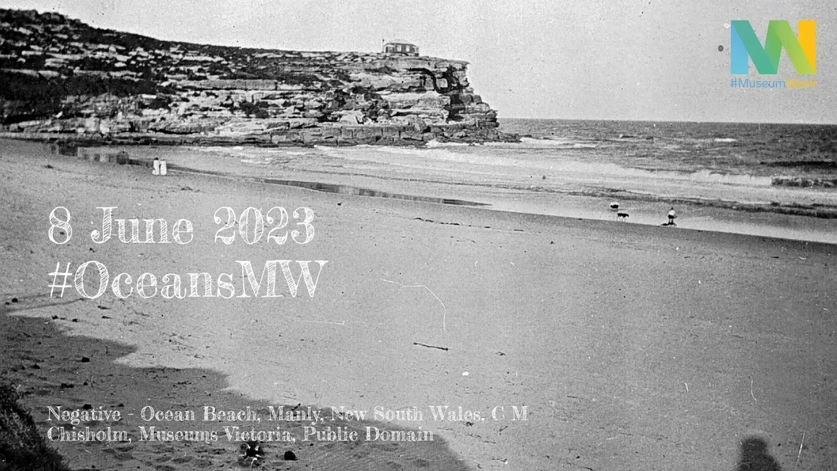 MuseumWeek's tweet photo. On #WorldOceansDay from @UN, we've dedicated our daily MuseumWeek theme to the sea. Get involved with #OceansMW and share sea-related items in your collections, from ocean fossils to historic beach scenes and shipwreck treasure. #MuseumWeekIE #MuseumWeekUK https://t.co/zv5bLGtADH
