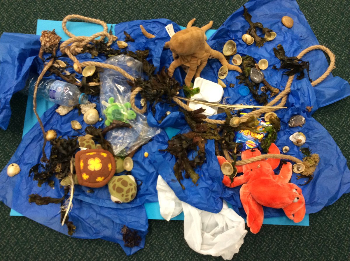 WideyOak tweet media