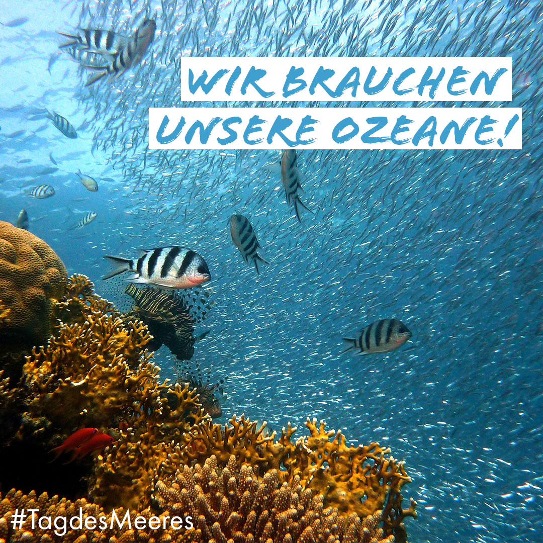 🌊🐠 Circa 71 % der Erdoberfläche sind von Meeren bedeckt. Sie sind ein Ort der Artenvielfalt, produzieren Sauerstoff und gelten als Erholungsort für uns Menschen. Doch die Meere sind bedroht: Umweltverschmutzung, Klimawandel und Überfischung zerstören die marinen Ökosysteme ❌.