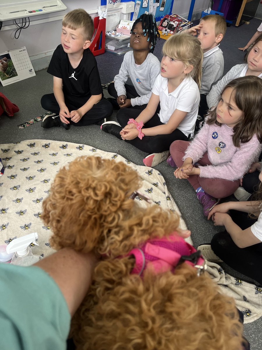 MissBruce00's tweet photo. Daisy came to visit P2 with Miss McGlashan so we could learn how to look after a dog. @woodside_school @WoodsideRRS https://t.co/kLoMCzCLY5