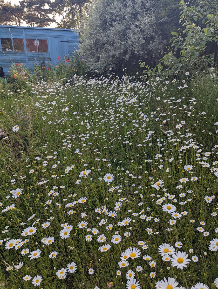 Ruth Hayes 🌱🇺🇦🇵🇸🇪🇺 tweet media