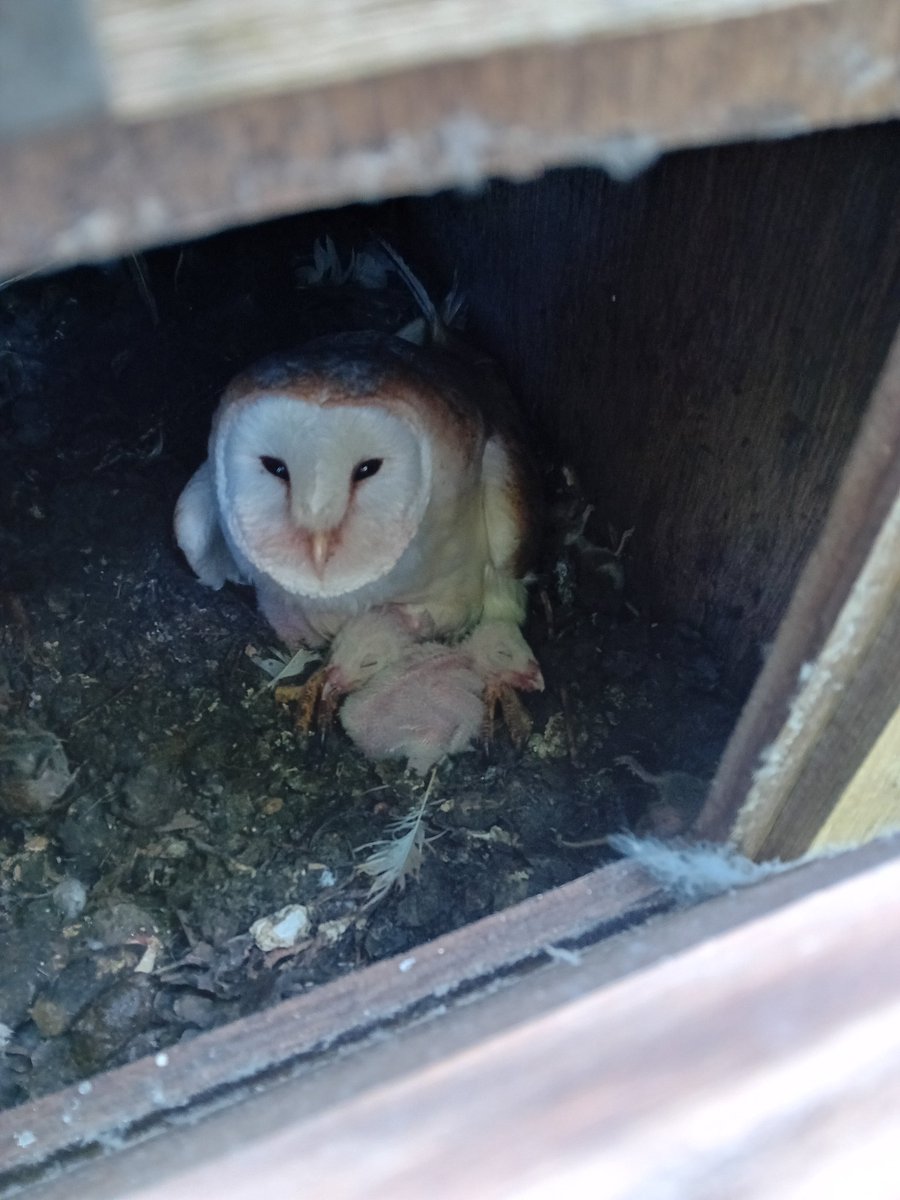 Jon Keepen tweet media