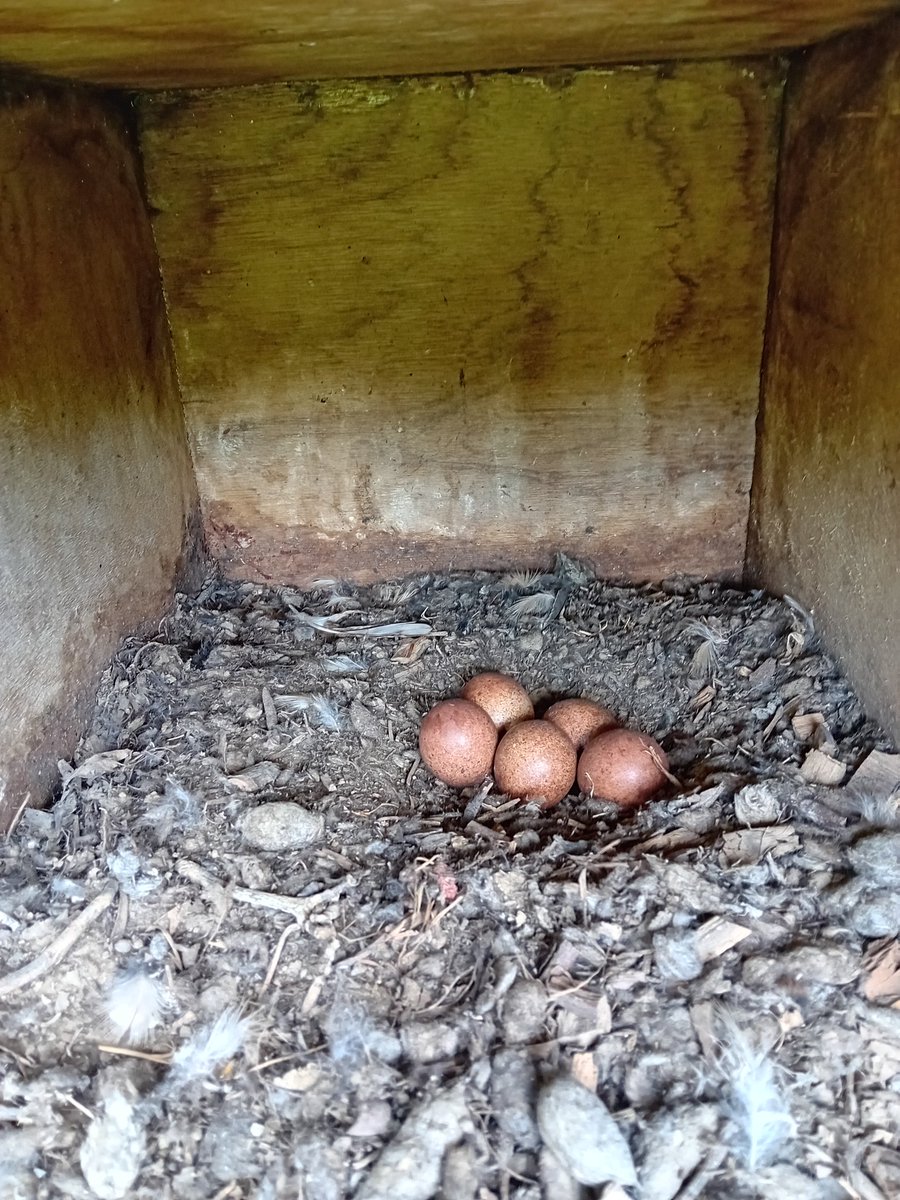 Jon Keepen tweet media